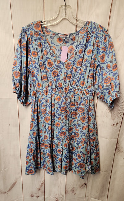 Sundry Women's Size 3 Blue Floral Dress