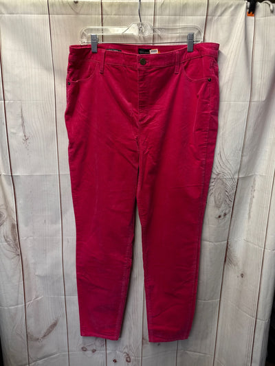 NWT Talbots Women's Size 16 Pink Pants