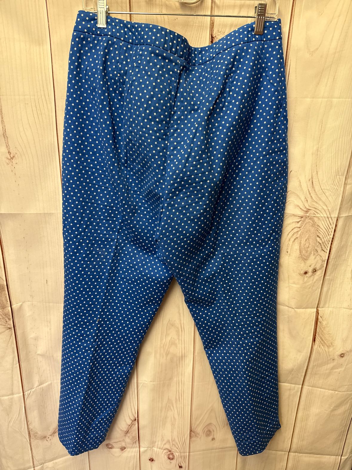 Talbots Women's Size 12 Blue Polka Dot Pants