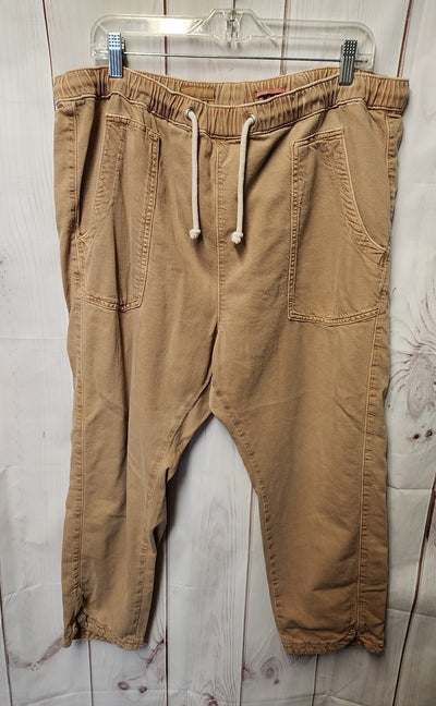 Pilcro Women's Size XL Brown Pants