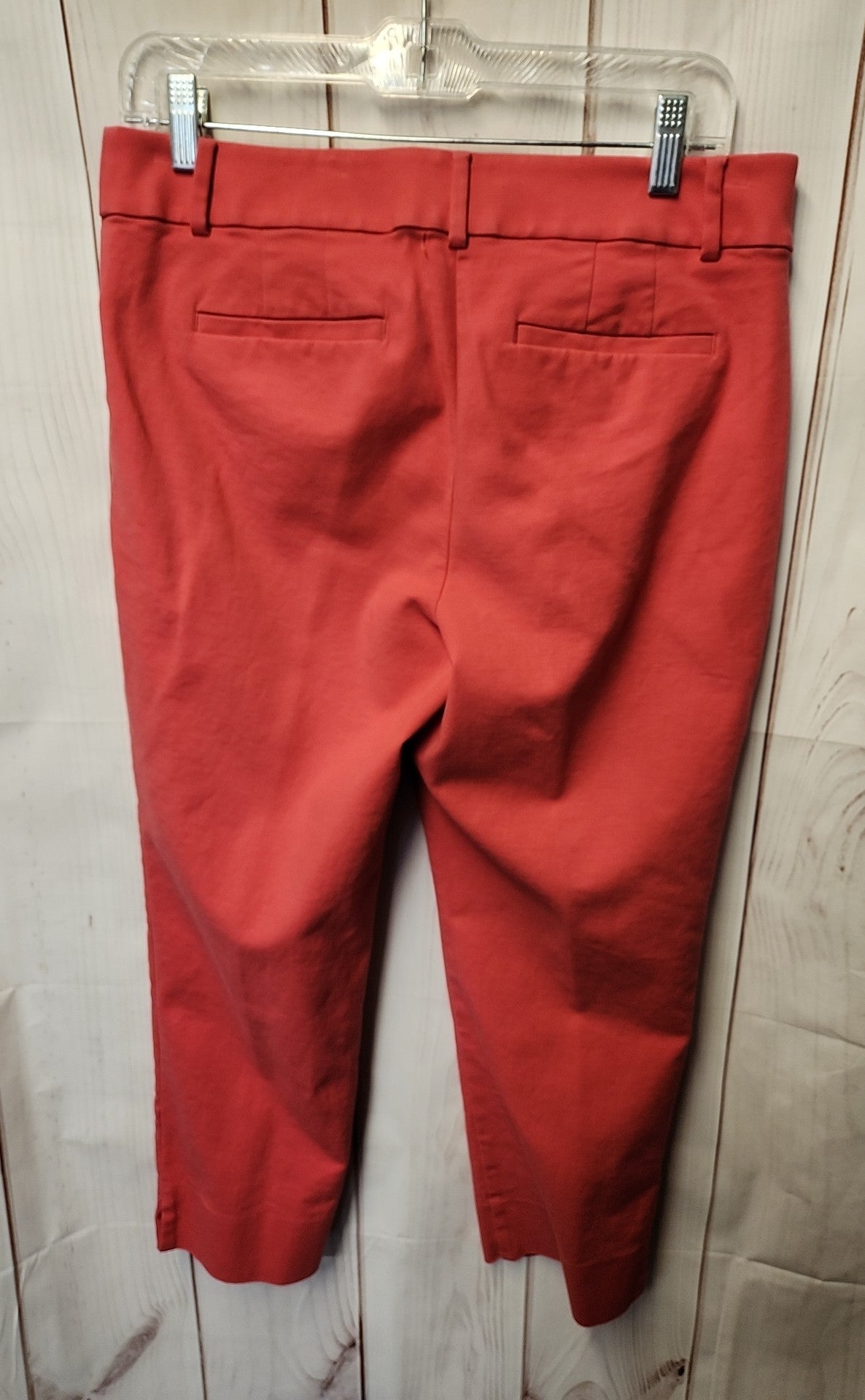 Loft Women's Size 6 Pink Pants The Curvy Riviera Pant