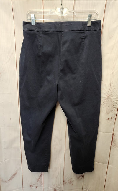 Dialogue Women's Size 14 Navy Pants