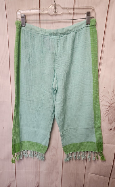 Gap Women's Size S Blue Capris