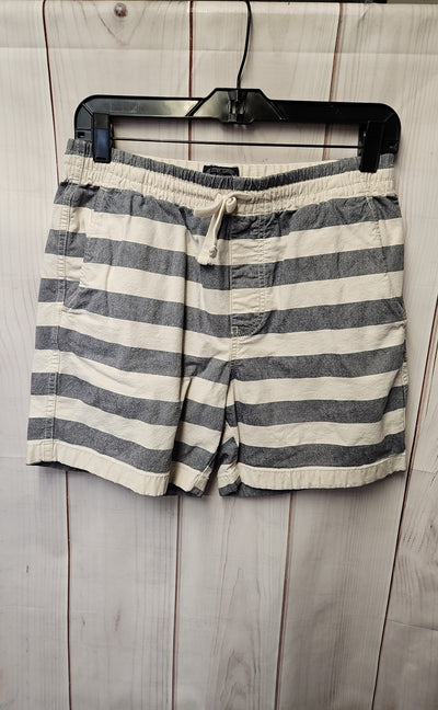 J Crew Men's Size S White & Blue Shorts