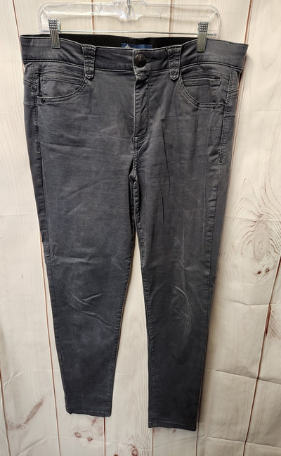 Democracy Women's Size 14 Gray Pants