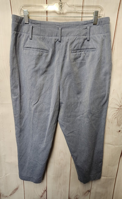 Talbots Women's Size 14 Petite Blue Pants