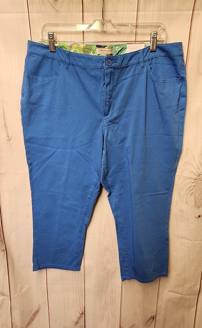NWT Coldwater Creek Women's Size 16 Blue Pants