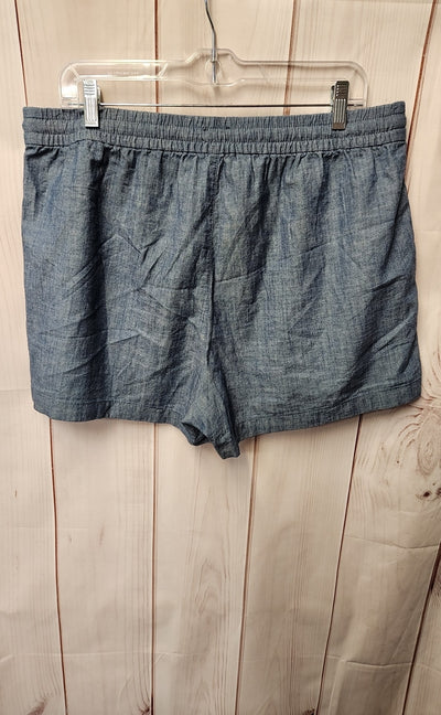 J Crew Women's Size L Blue Shorts