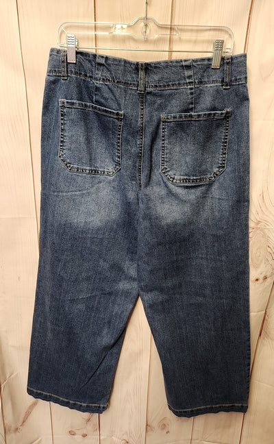 D Jeans Women's Size 31 (11-12) Blue Jeans