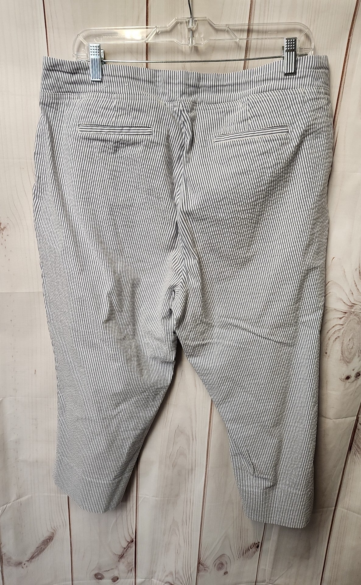 Dalia Women's Size 18 Blue & White Stripe Pants