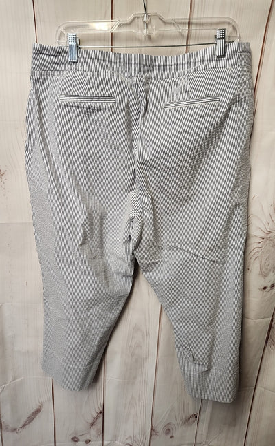 Dalia Women's Size 18 Blue & White Stripe Pants
