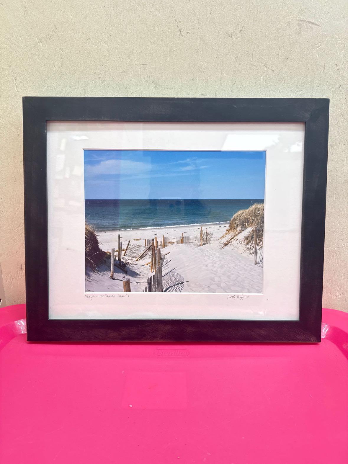 Mayflower Beach Framed Art