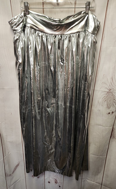 Sunday in Brooklyn Women's Size 2X Silver Skirt