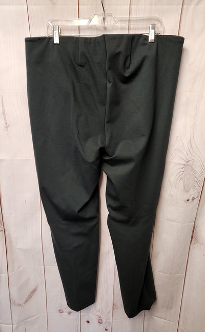 Liverpool Women's Size 16 Green Pants