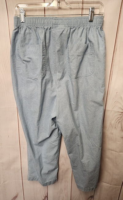 Lands End Women's Size 10 Blue Pants