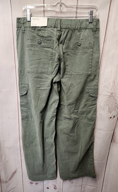 NWT American Eagle Women's Size 2 Green Pants Dreamy Drape Baggy Wide Leg