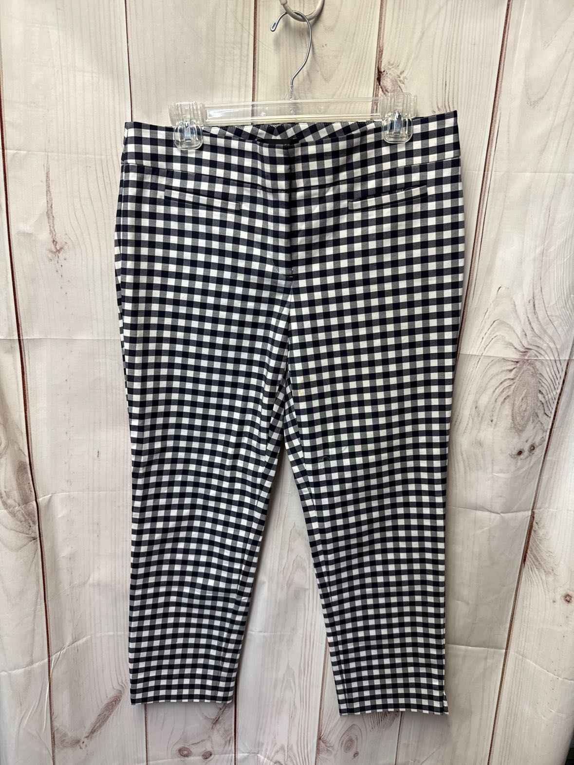 Ann Taylor Women's Size 6 White & Blue Pants