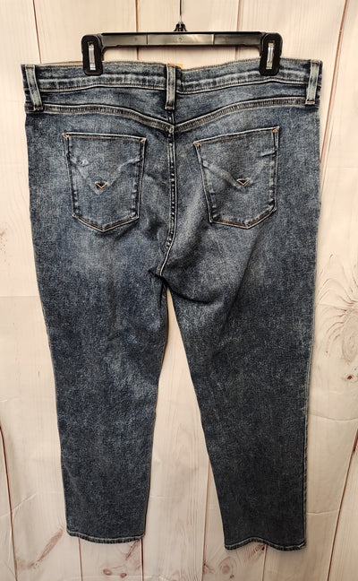 Hudson Women's Size 34 (18/1X) Blue Jeans