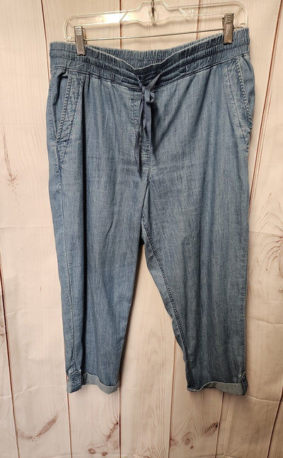 Talbots Women's Size M Petite Blue Pants