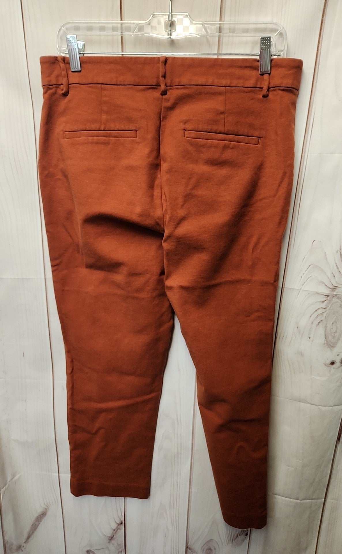 Loft Women's Size 10 Brown Pants The Perfect Straight