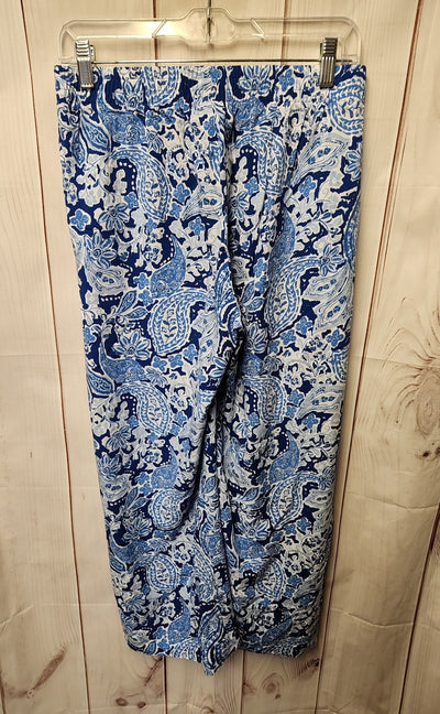 J Jill Women's Size XS Blue Pants