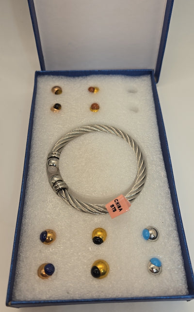 NIB Stainless Steel Bracelet w/ Interchangeable Charms