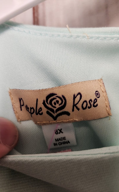 NWT Purple Rose Girl's Size 6 Mint Dress