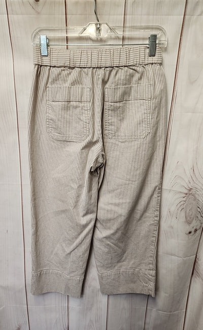 Talbots Women's Size Petite Brown Pants