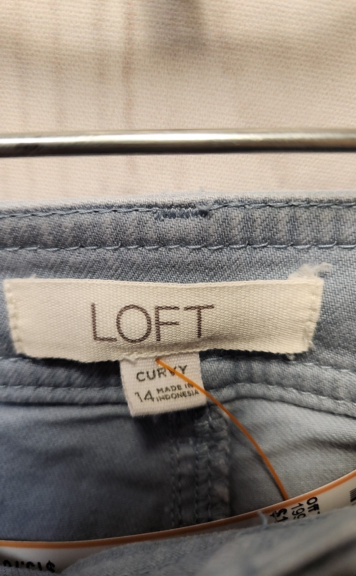 Loft Women's Size 32 (13-14) Light Blue Jeans Curvy
