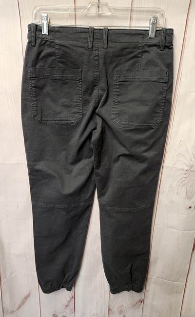 Banana Republic Women's Size 8 Gray Pants