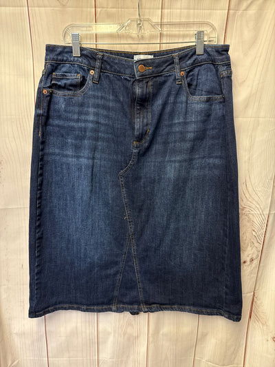 Sonoma Women's Size 16 Blue Skirt