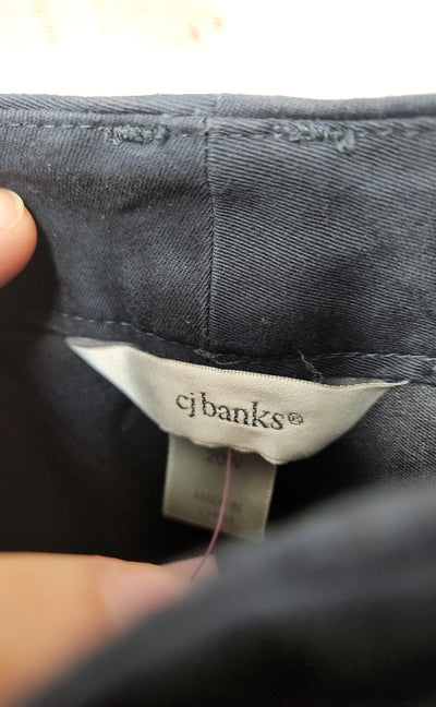 CJ Banks Women's Size 20 Navy Skorts