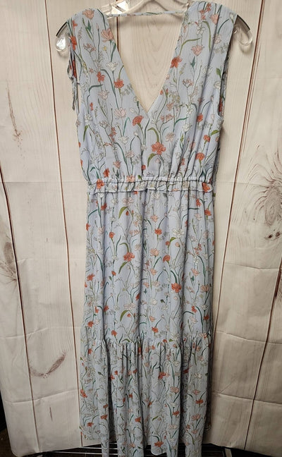 Banana Republic Women's Size 6 Light Blue Floral Dress