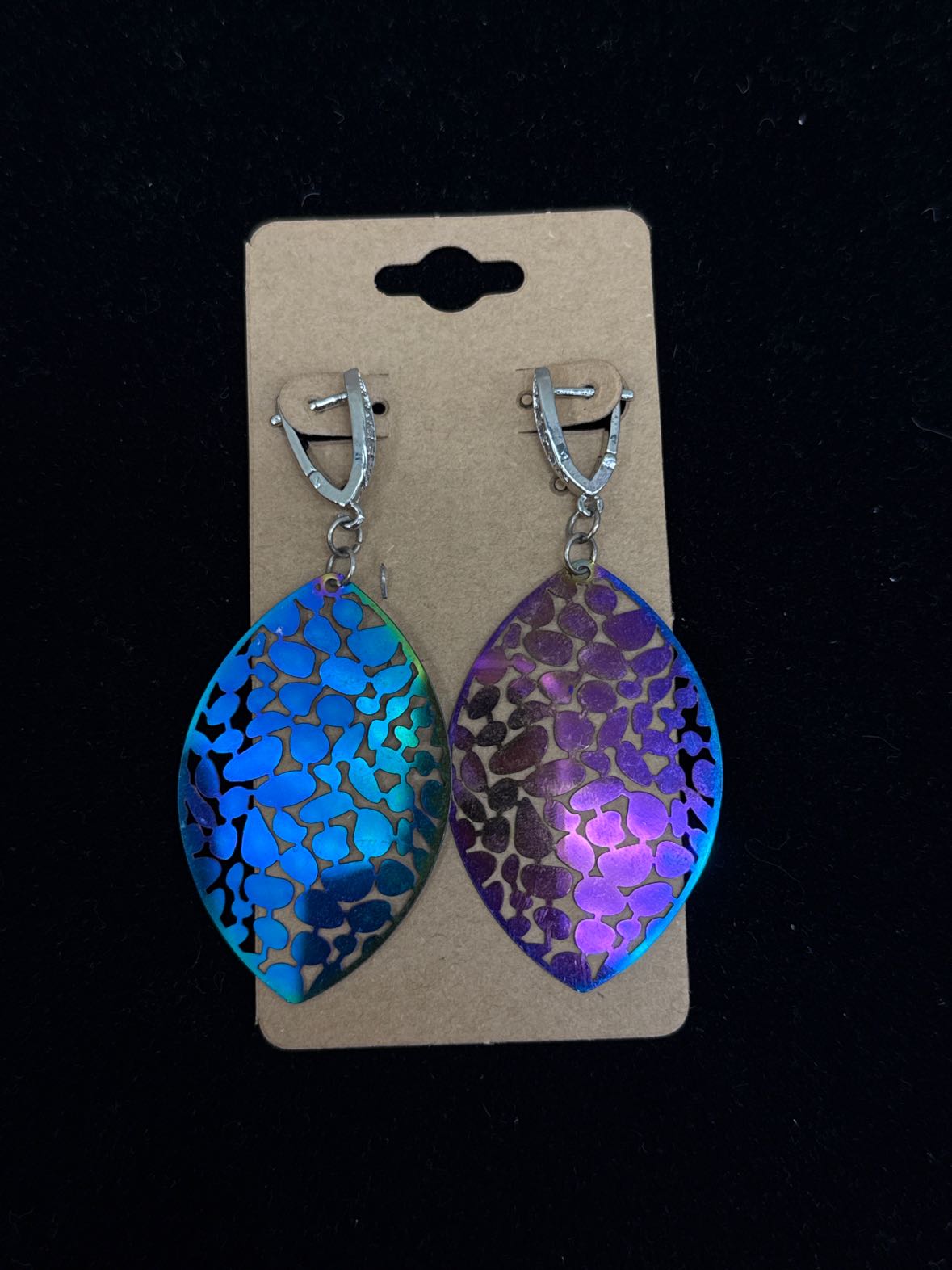 Rainbow Earrings