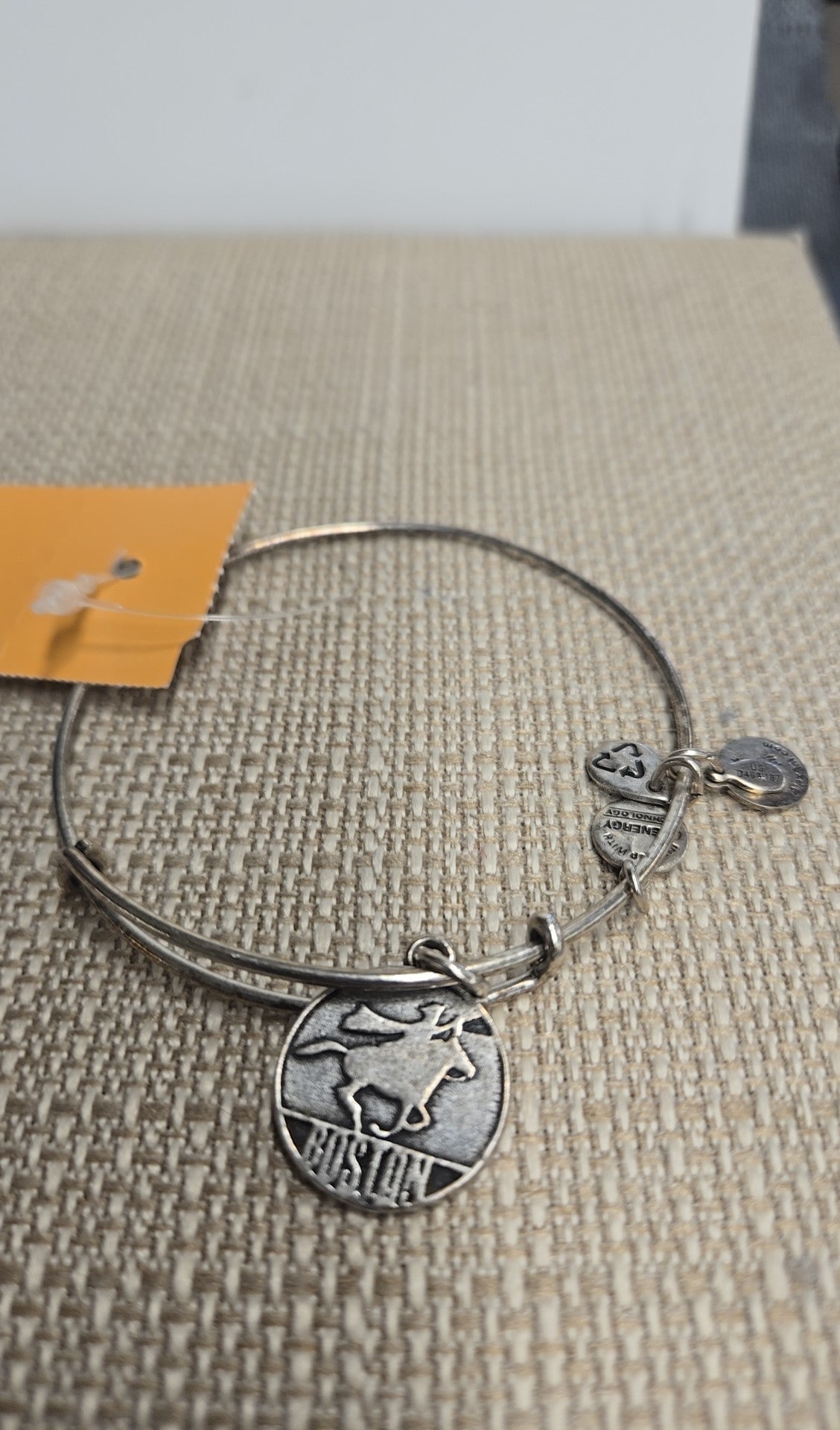 Alex & Ani Silver Boston Charm Bracelet