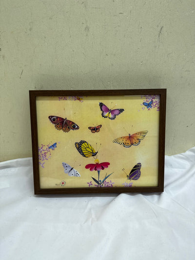 Butterfly Framed Art