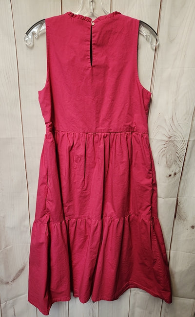 J Crew Women's Size 6 Pink Dress