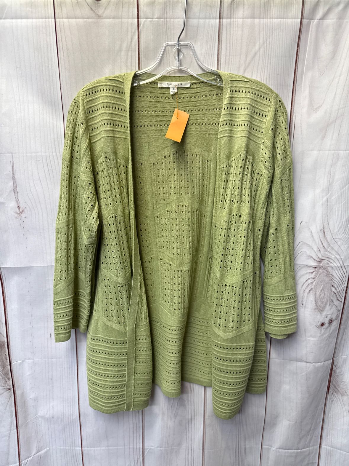 Cyrus Women's Size L Green Cardigan