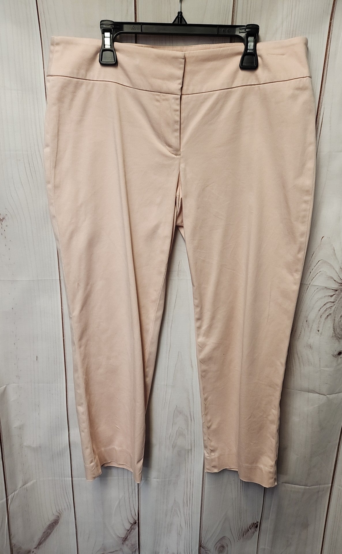 Loft Women's Size 6 Peach Pants