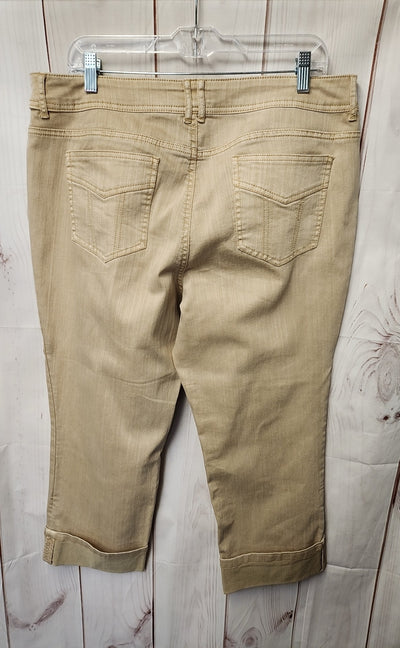 Chico's Women's Size 3 = US 16 Brown Jeans