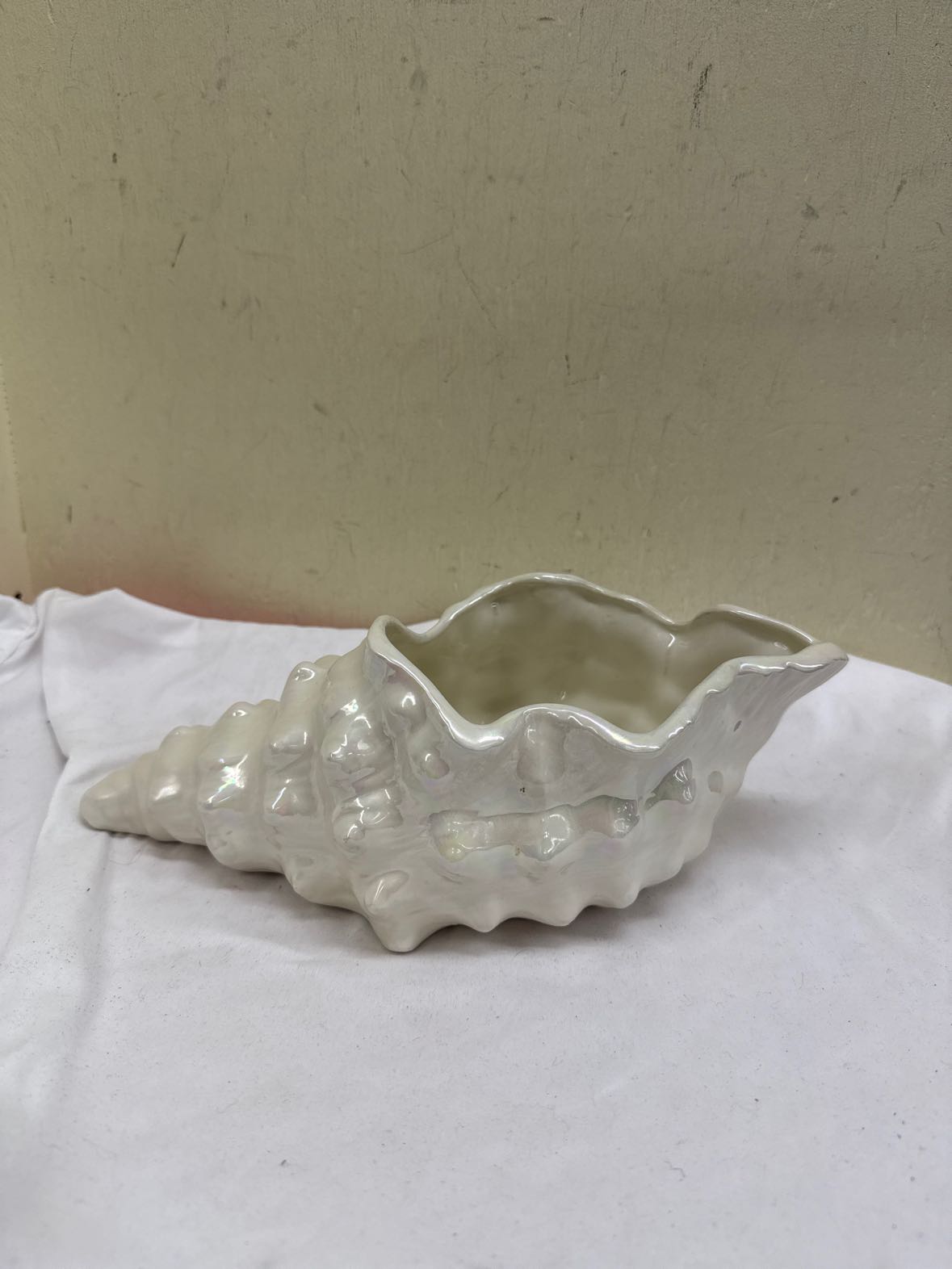 Iridescent Shell Bowl