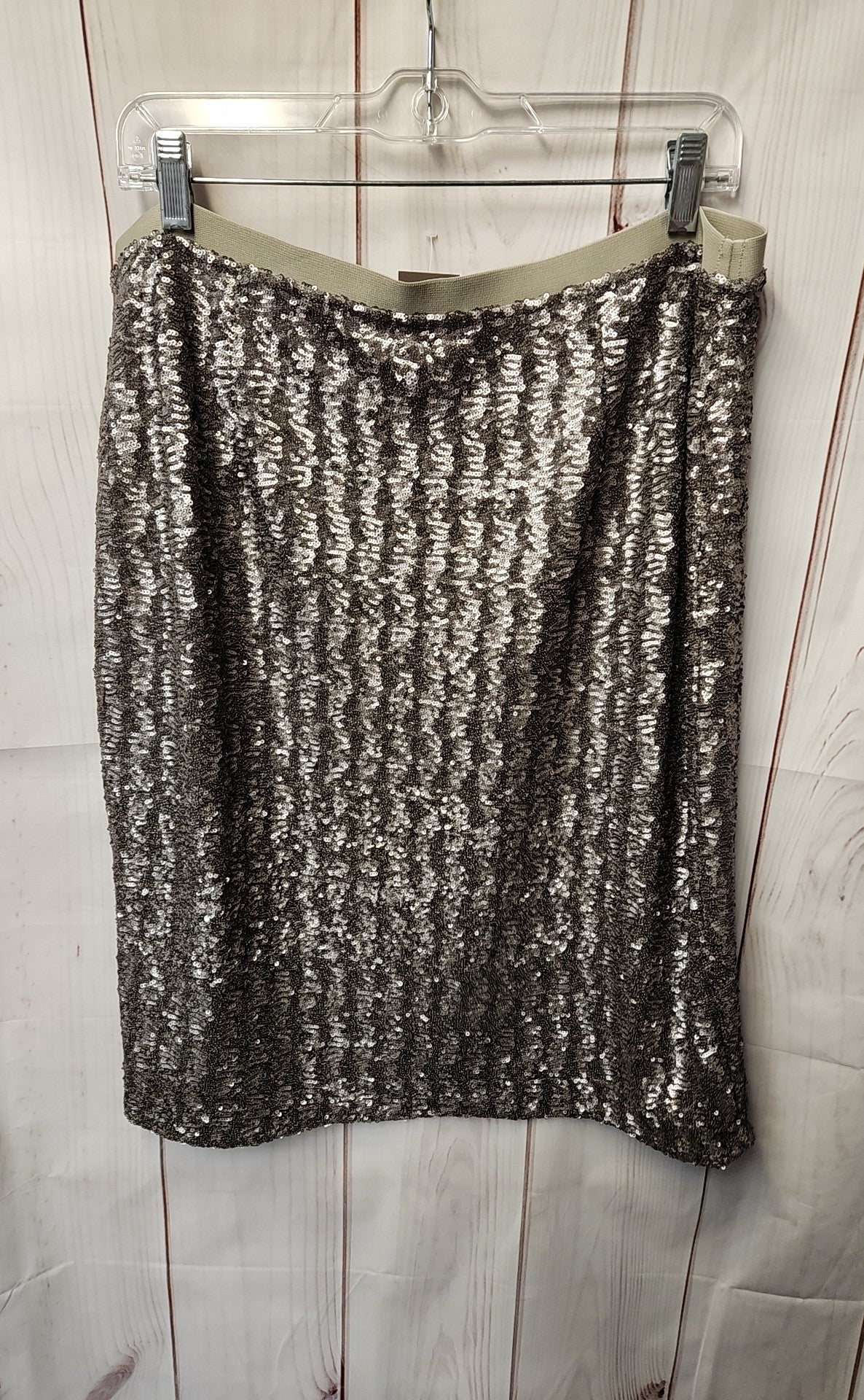 NWT J Jill Women's Size L Silver Sequined Skirt