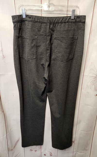 Erika Women's Size 14 Gray Pants