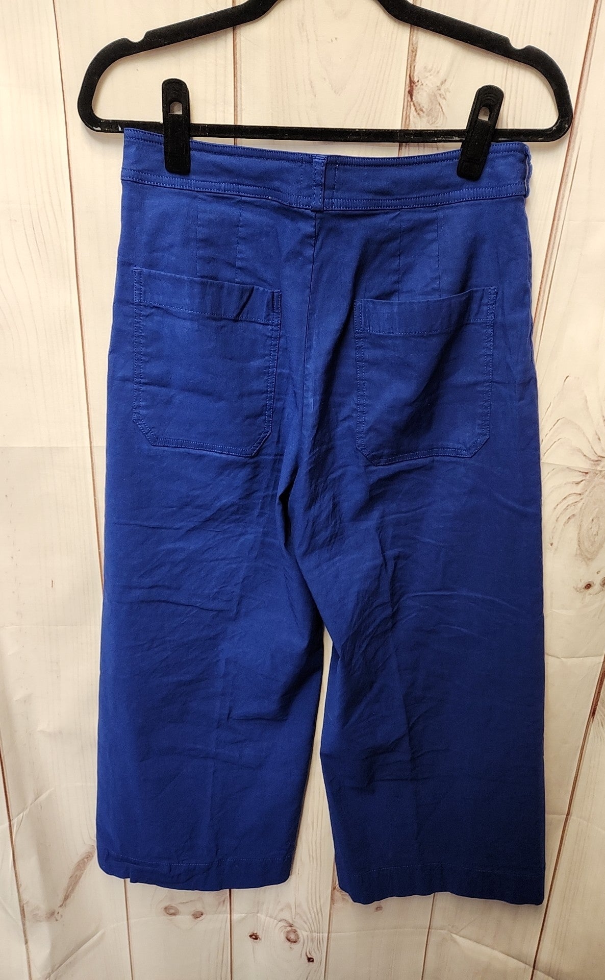 Maeve Women's Size 30 (9-10) Petite Blue Pants