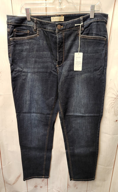 NWT J Jill Women's Size 33 (15-16) Blue Jeans Smooth Fit Slim Ankle