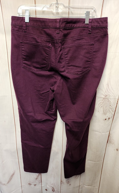 Talbots Women's Size 32 (13-14) Purple Slim Ankle Jeans
