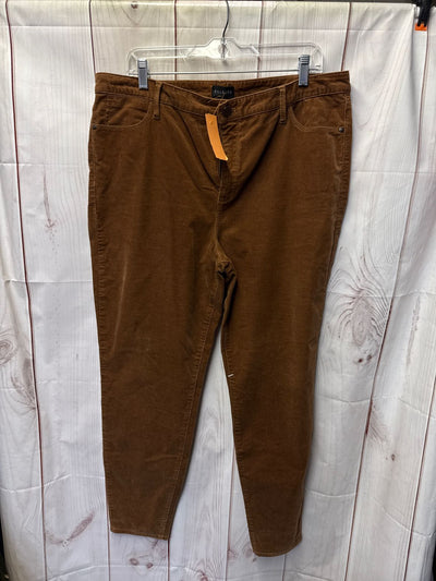 NWT Talbots Women's Size 14 Brown Pants
