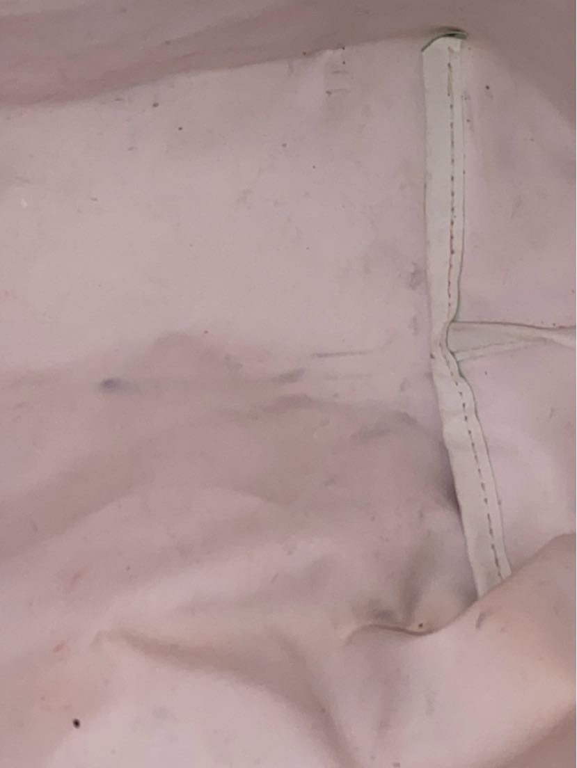 Longchamp Coral Tote Bag AS IS - stains inside