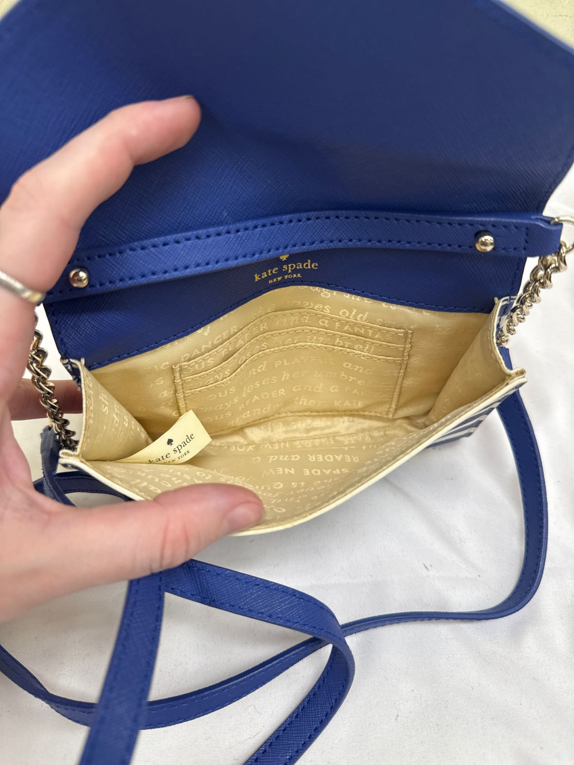 Kate Spade Blue & White Stripe Purse Bag