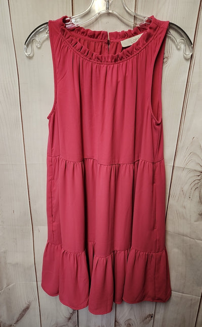 Loft Women's Size S Pink Dress